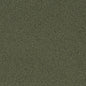 D3628 Plain & Solid Olive Green Charlotte Fabrics