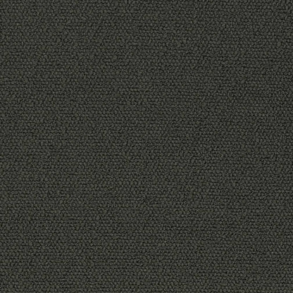 D3630 Plain & Solid Coal Black Charlotte Fabrics