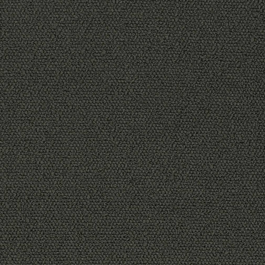 D3630 Plain & Solid Coal Black Charlotte Fabrics