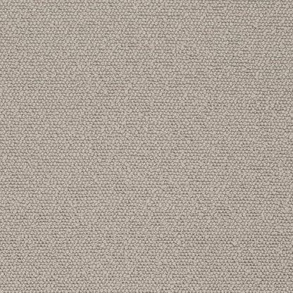 D3632 Plain & Solid Pewter Grey & Silver Charlotte Fabrics