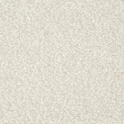 D3633 Plain & Solid Fog White & Ivory Charlotte Fabrics