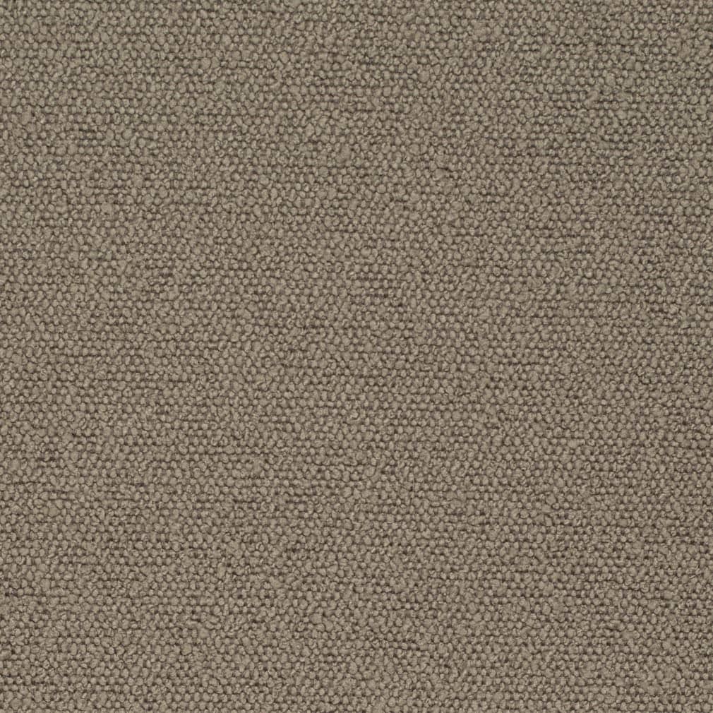 D3634 Plain & Solid Latte Brown Charlotte Fabrics