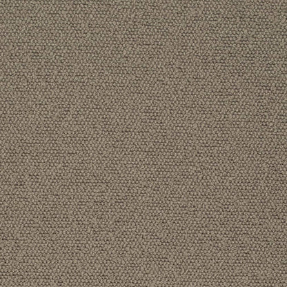 D3634 Plain & Solid Latte Brown Charlotte Fabrics