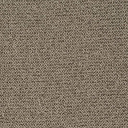 D3634 Plain & Solid Latte Brown Charlotte Fabrics
