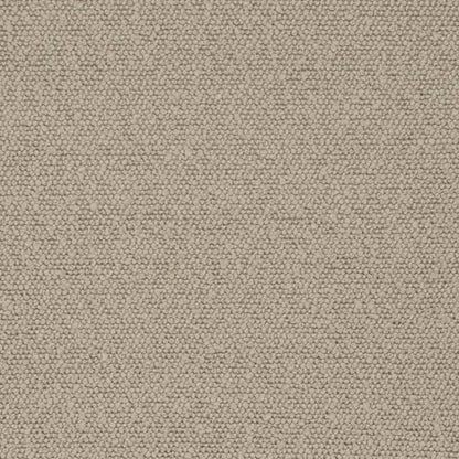 D3635 Plain & Solid Mushroom Beige & Taupe Charlotte Fabrics