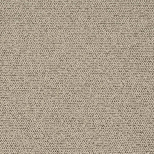 D3635 Plain & Solid Mushroom Beige & Taupe Charlotte Fabrics