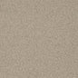 D3635 Plain & Solid Mushroom Beige & Taupe Charlotte Fabrics