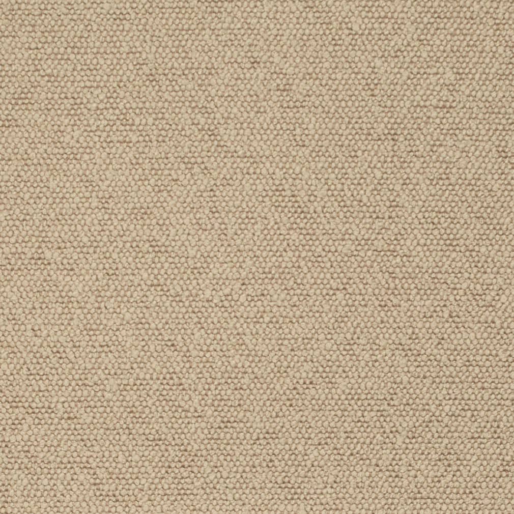 D3636 Plain & Solid Oat Beige & Taupe Charlotte Fabrics