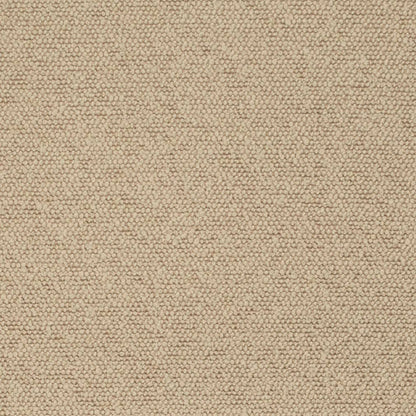 D3636 Plain & Solid Oat Beige & Taupe Charlotte Fabrics