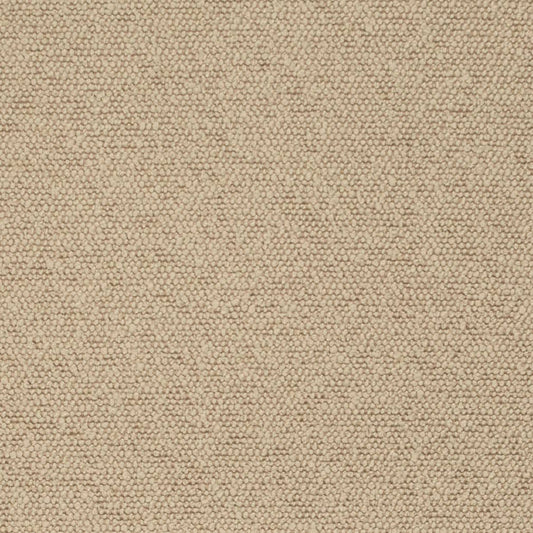 D3636 Plain & Solid Oat Beige & Taupe Charlotte Fabrics