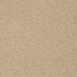 D3636 Plain & Solid Oat Beige & Taupe Charlotte Fabrics