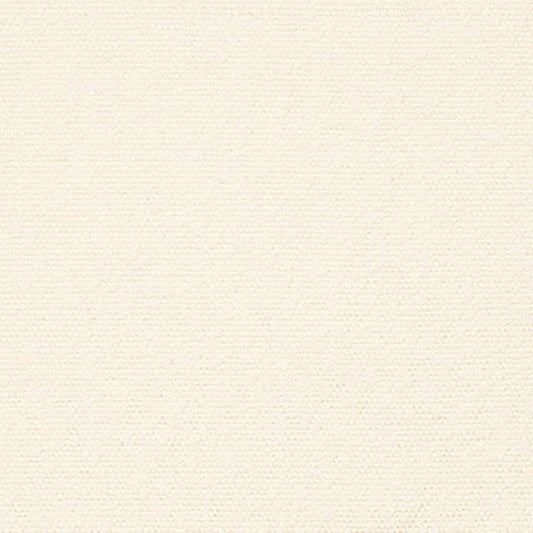 D3637 Plain & Solid Ivory White & Ivory Charlotte Fabrics