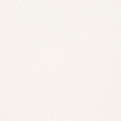 D3638 Plain & Solid Snow White & Ivory Charlotte Fabrics