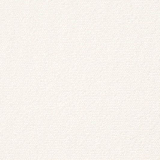 D3638 Plain & Solid Snow White & Ivory Charlotte Fabrics
