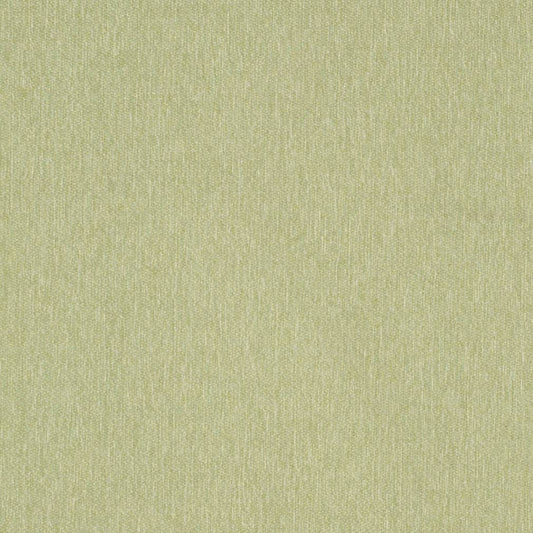 D3641 Plain & Solid Moss Green Charlotte Fabrics