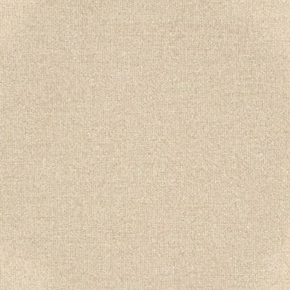 D3647 Plain & Solid Ecru Beige & Taupe Charlotte Fabrics