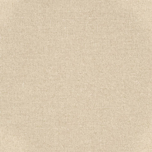 D3647 Plain & Solid Ecru Beige & Taupe Charlotte Fabrics
