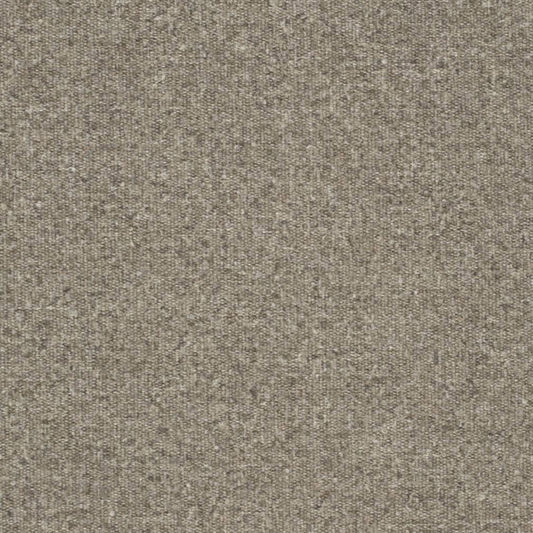 D3648 Plain & Solid Feather Beige & Taupe Charlotte Fabrics