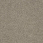 D3648 Plain & Solid Feather Beige & Taupe Charlotte Fabrics