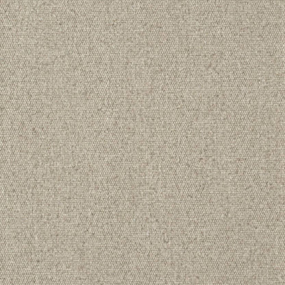 D3649 Plain & Solid Flax Beige & Taupe Charlotte Fabrics