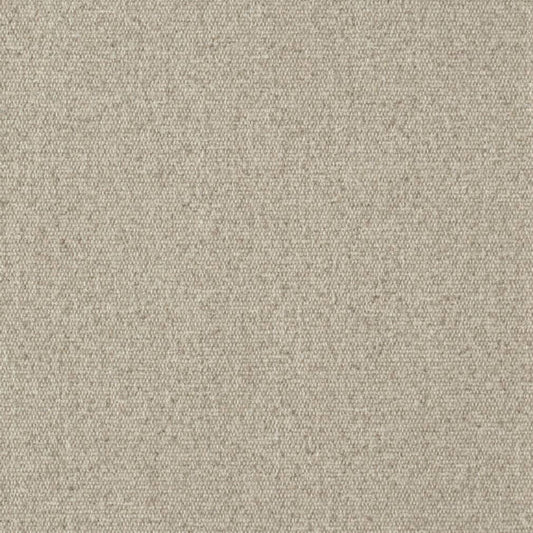 D3649 Plain & Solid Flax Beige & Taupe Charlotte Fabrics