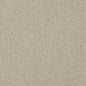 D3649 Plain & Solid Flax Beige & Taupe Charlotte Fabrics