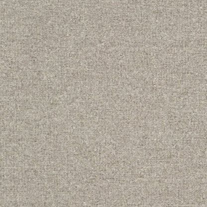 D3652 Plain & Solid Dove Grey & Silver Charlotte Fabrics