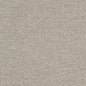 D3652 Plain & Solid Dove Grey & Silver Charlotte Fabrics