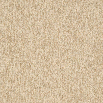 D3653 Plain & Solid Sand Beige & Taupe Charlotte Fabrics
