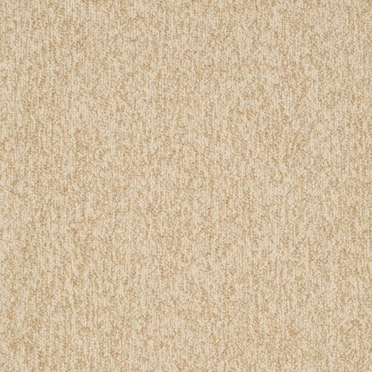D3653 Plain & Solid Sand Beige & Taupe Charlotte Fabrics