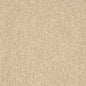 D3653 Plain & Solid Sand Beige & Taupe Charlotte Fabrics