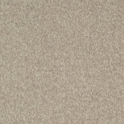 D3655 Plain & Solid Driftwood Beige & Taupe Charlotte Fabrics