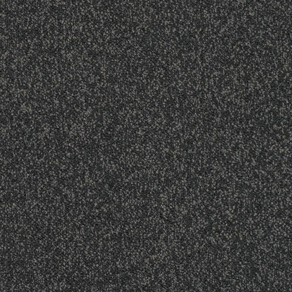 D3656 Plain & Solid Peppercorn Black Charlotte Fabrics