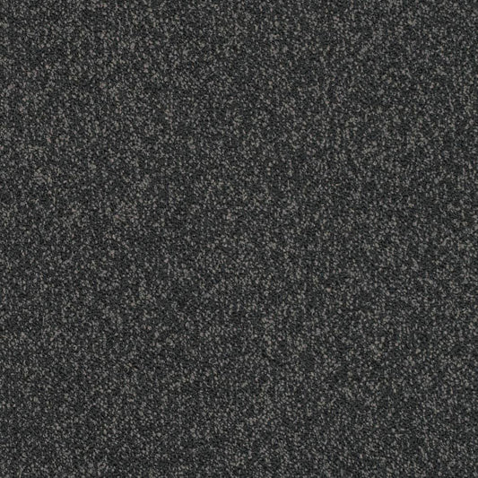 D3656 Plain & Solid Peppercorn Black Charlotte Fabrics