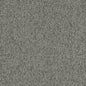 D3659 Plain & Solid Fossil Grey & Silver Charlotte Fabrics