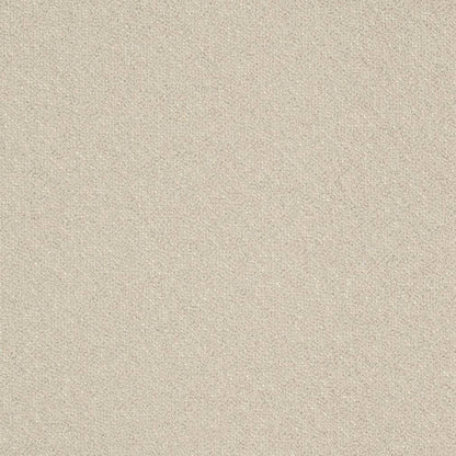 D3661 Plain & Solid Zinc Grey & Silver Charlotte Fabrics
