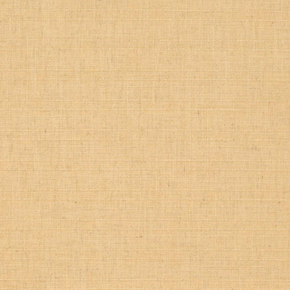 D3678 Plain & Solid Maize Gold & Yellow Charlotte Fabrics