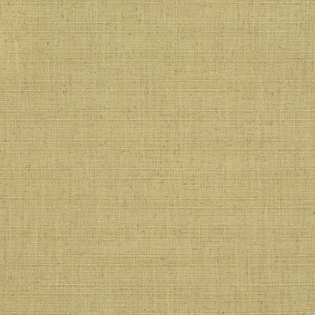 D3680 Plain & Solid Pear Green Charlotte Fabrics