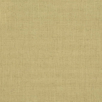 D3680 Plain & Solid Pear Green Charlotte Fabrics