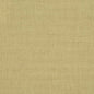 D3680 Plain & Solid Pear Green Charlotte Fabrics
