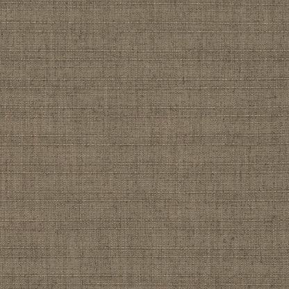 D3682 Plain & Solid Cedar Brown Charlotte Fabrics