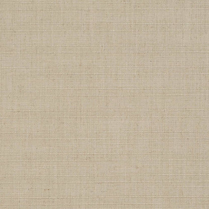 D3685 Plain & Solid Mushroom Beige & Taupe Charlotte Fabrics