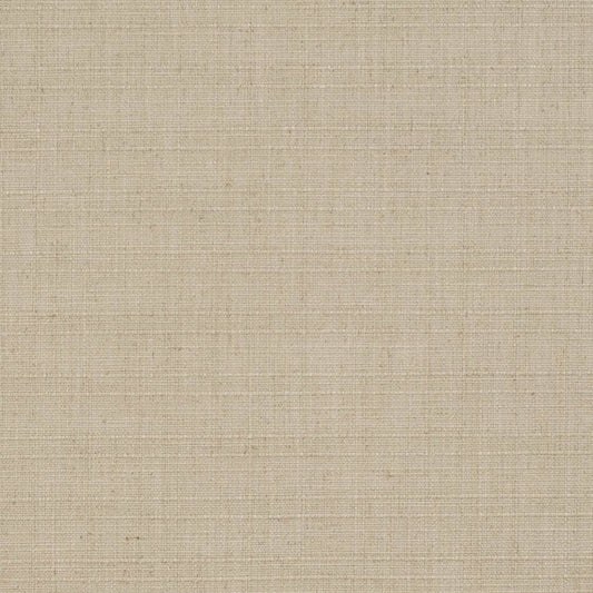 D3685 Plain & Solid Mushroom Beige & Taupe Charlotte Fabrics