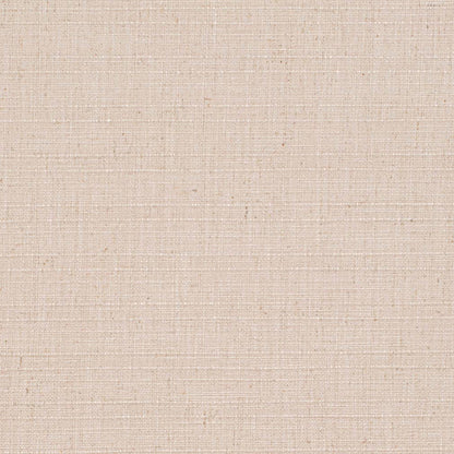 D3686 Plain & Solid Pebble Beige & Taupe Charlotte Fabrics