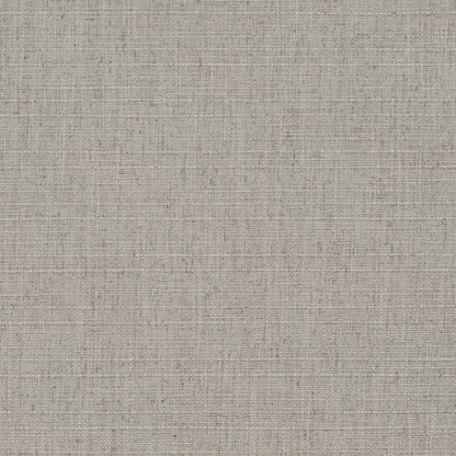D3689 Plain & Solid Metal Grey & Silver Charlotte Fabrics
