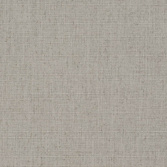 D3689 Plain & Solid Metal Grey & Silver Charlotte Fabrics