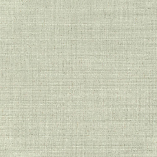 D3709 Plain & Solid Mint Green Charlotte Fabrics
