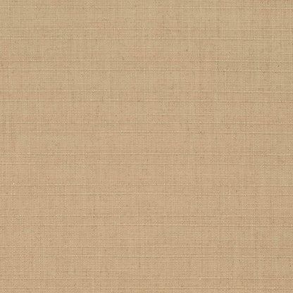 D3710 Plain & Solid Straw Beige & Taupe Charlotte Fabrics