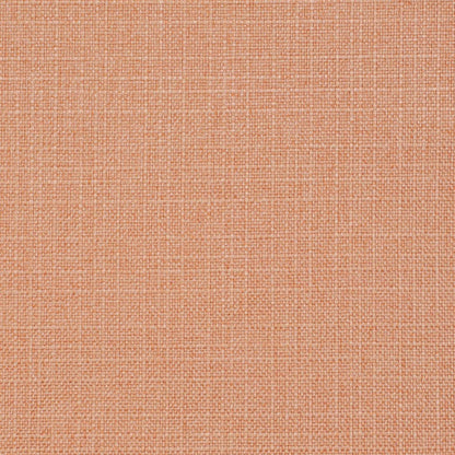 D3719 Plain & Solid Salmon Coral & Peach Charlotte Fabrics
