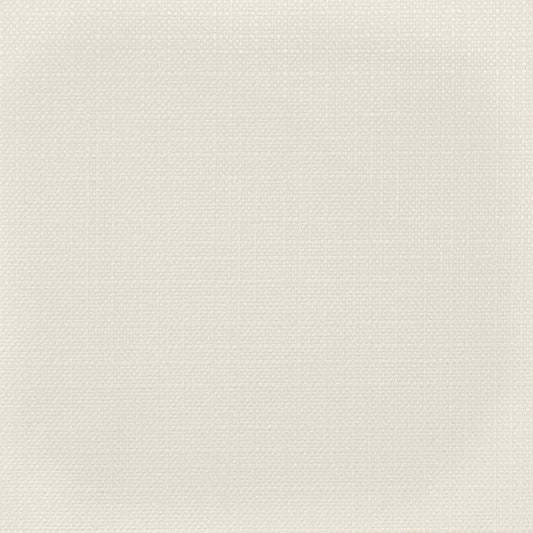 D3720 Plain & Solid Cloud White & Ivory Charlotte Fabrics